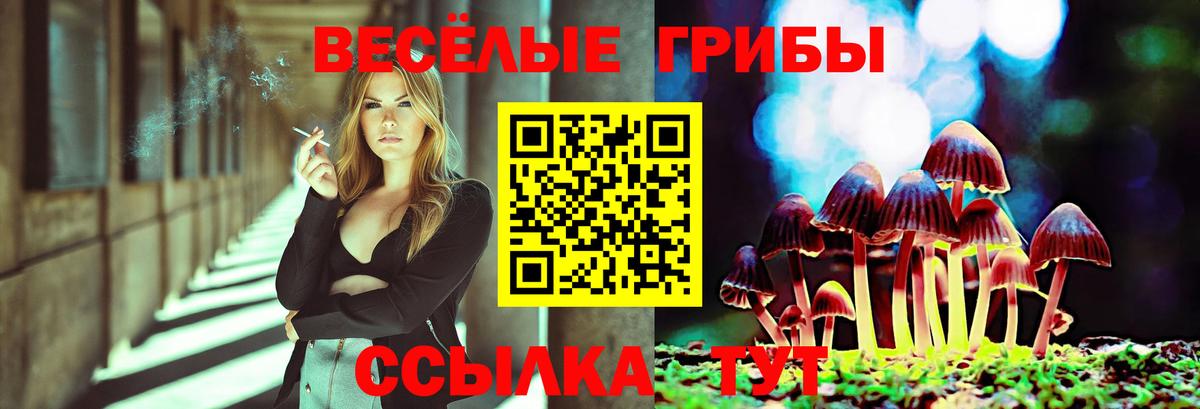 Вышний Волочёк  Псилоцибиновые грибы Cubensis  Вход с VPN 